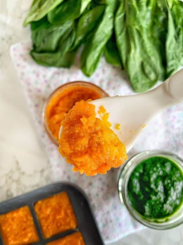 how to make baby food puree at home
