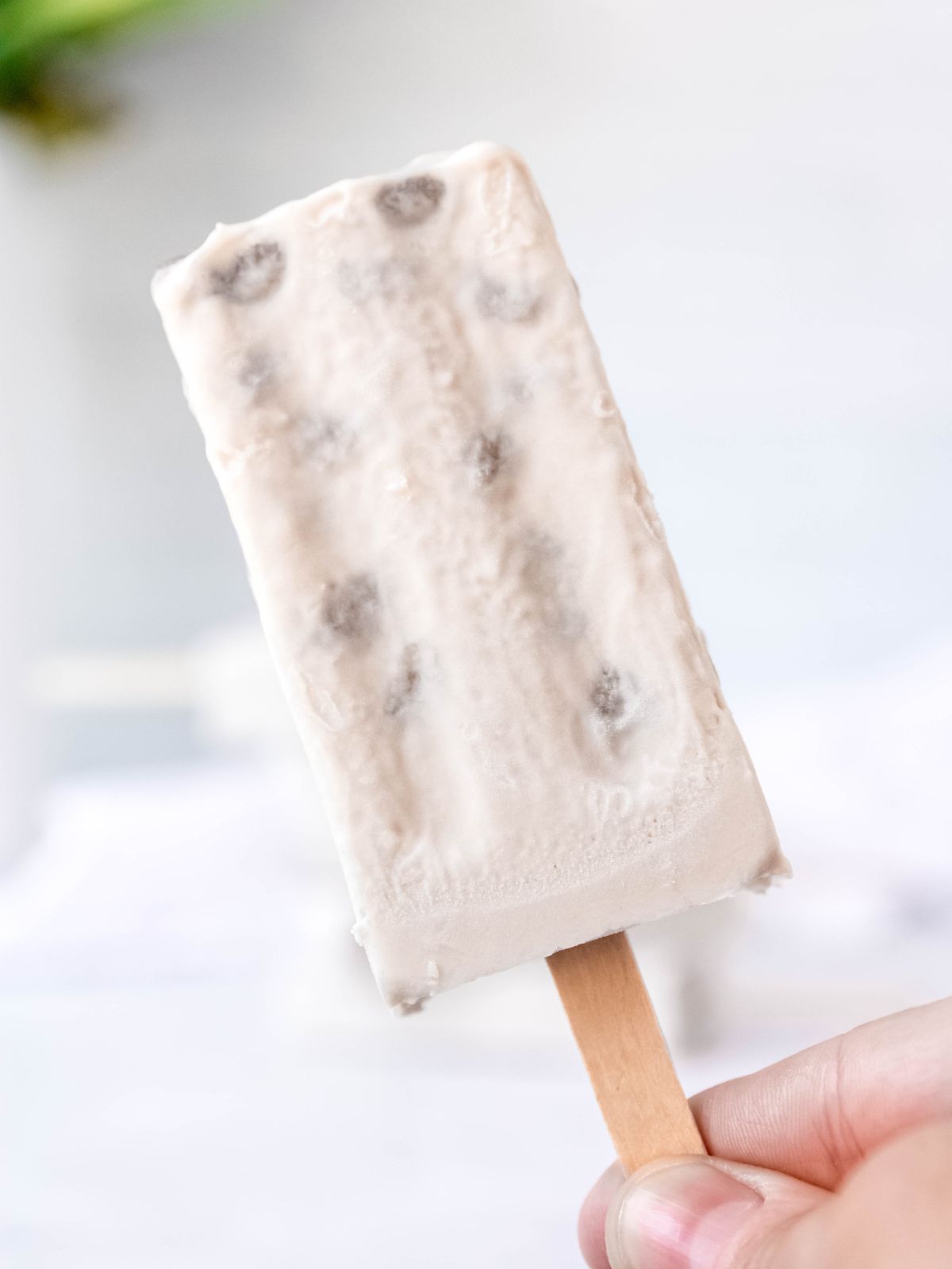 hand holding a boba popsicle by the stick.
