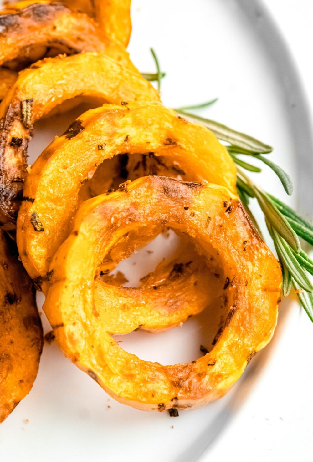 air fried delicata squash rings on a white plate with a sprig of fresh rosemary.