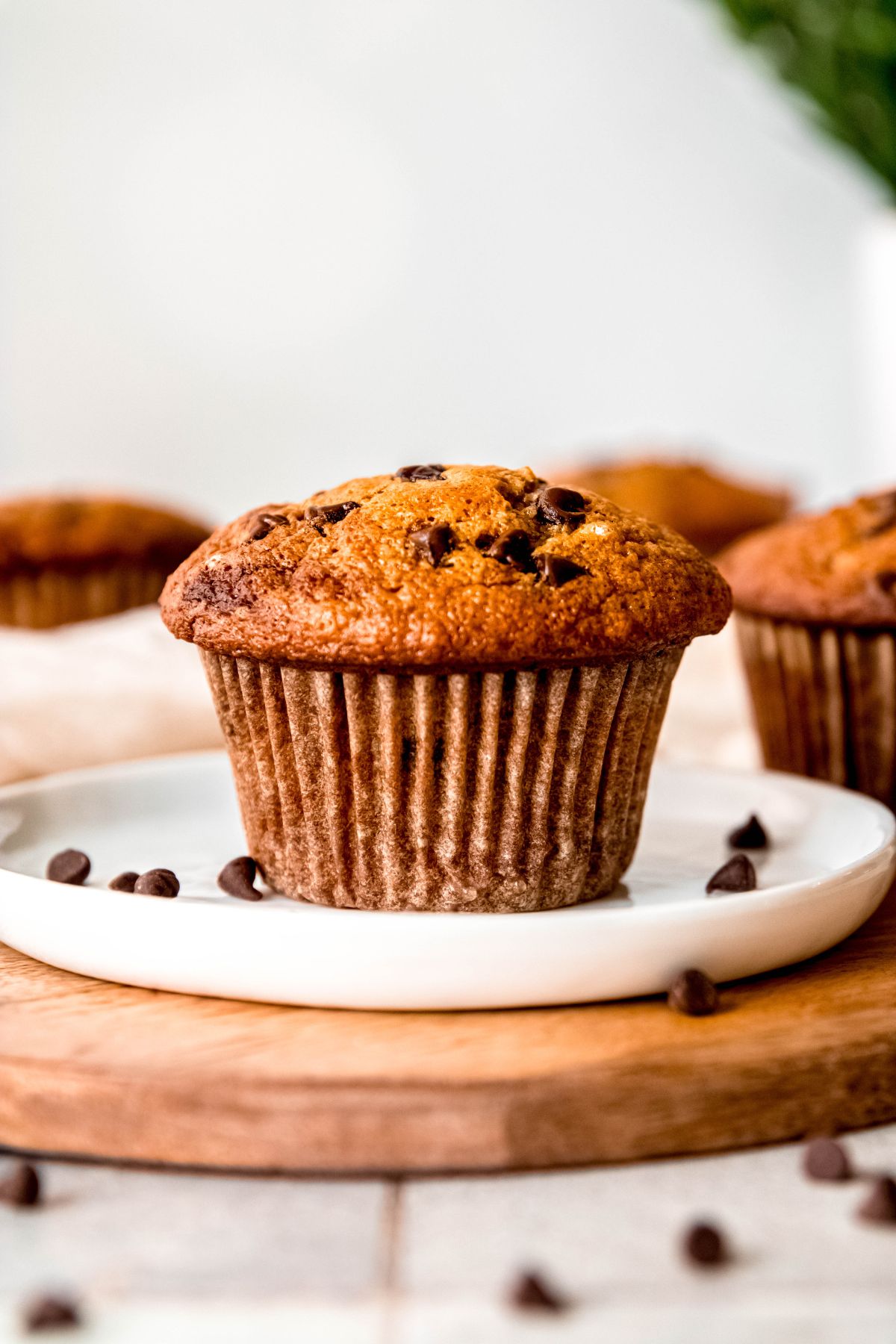 round white dessert plate with a banana bread protein muffin sprinkled with chocolate chips on a wooden table with more muffins blurred out on the table behind.