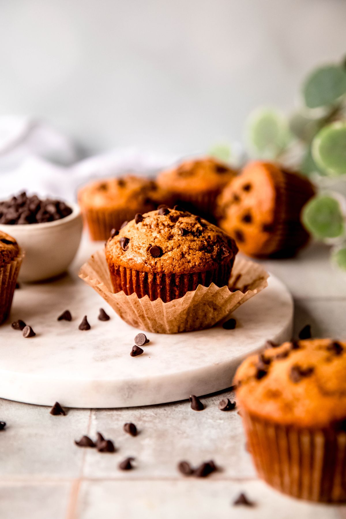 chocolate chip protein muffin in a loosened natural paper wrapper on a round white marble serving tray atop a grey tile table; mini chocolate chips are scattered all around and 3 muffins are blurred out in the background with a green houseplant, a white bowl of mini chocolate chips is to the left of the main muffin, and another muffin is blurred out in front in the bottom right corner of the frame.