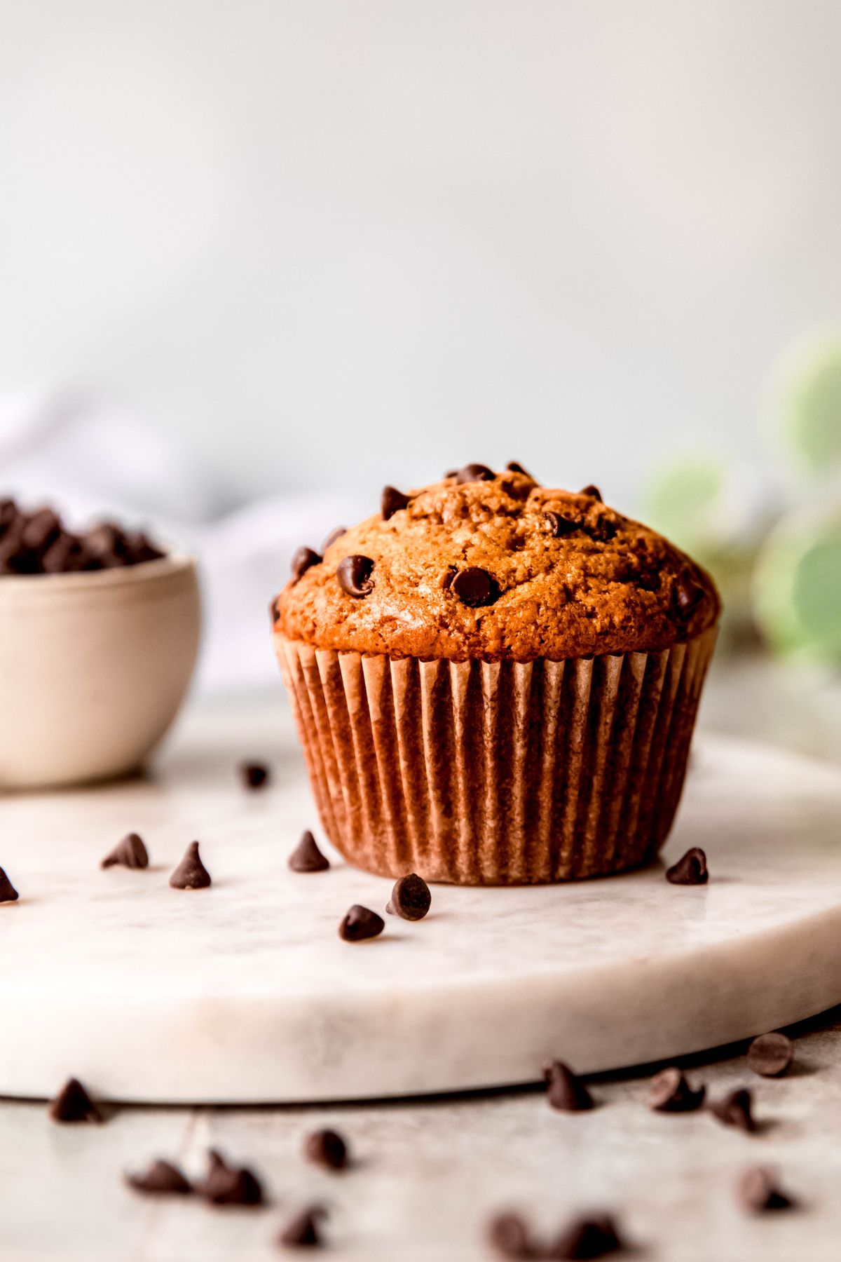 protein chocolate chip muffin in a natural paper wrapper on a white marble serving tray atop a grey tile surface with mini chocolate chips scattered around, a small muffin-sized bowl of mini chocolate chips blurred the back left of the frame and a green houseplant blurred out in the back right side of the frame.