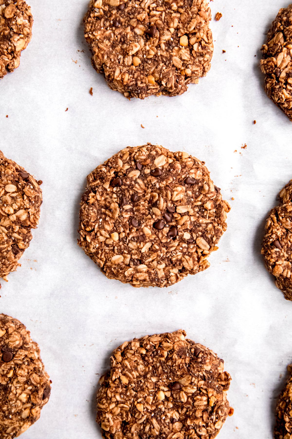 closeup shot of baked oatmeal chocolate protein cookies with chocolate chips on a parchment lined baking sheet.