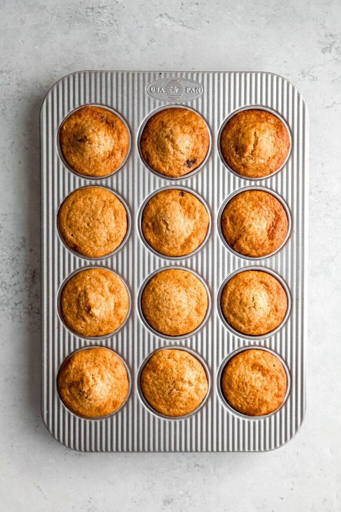 A muffin pan of baked blueberry protein muffins.