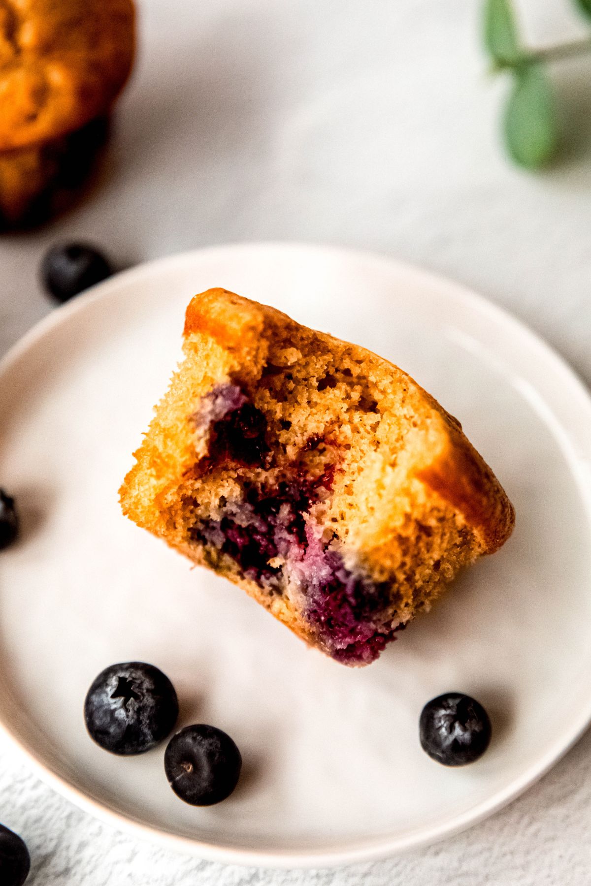 A close up shot of a blueberry protein muffin with a bite taken out of it.