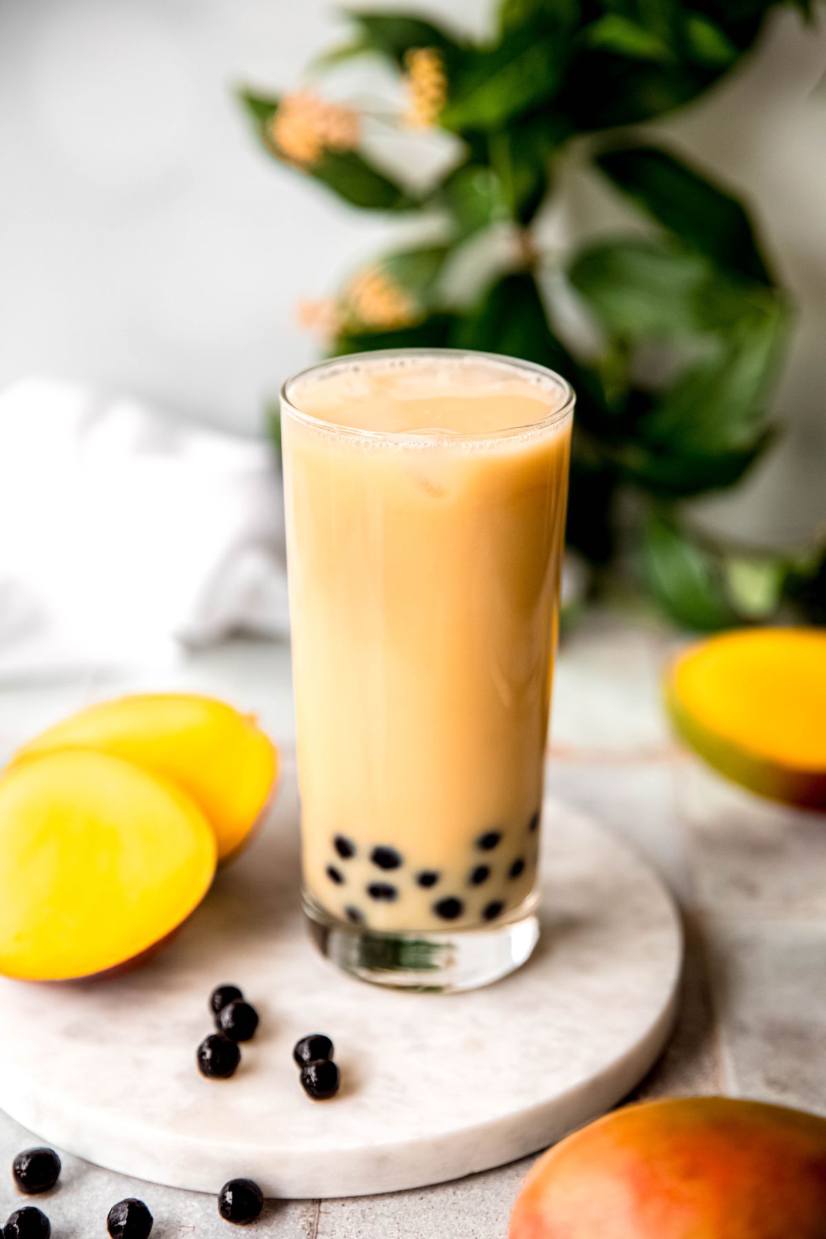 white table with a round white marble cheese plate topped with a collins glass of pale orange mango milk tea with black boba pearls; a green houseplant is blurred out in the background and fresh mango slices are scattered around the glass.