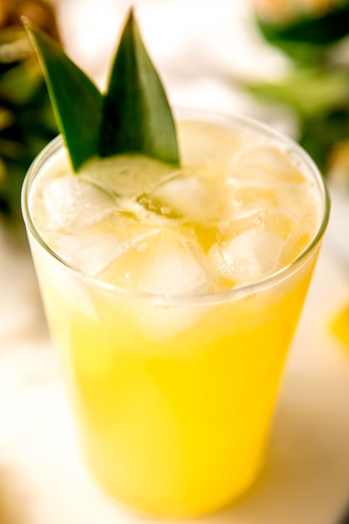 closeup shot of an iced glass of pineapple lemonade with pineapple leaves as garnish.