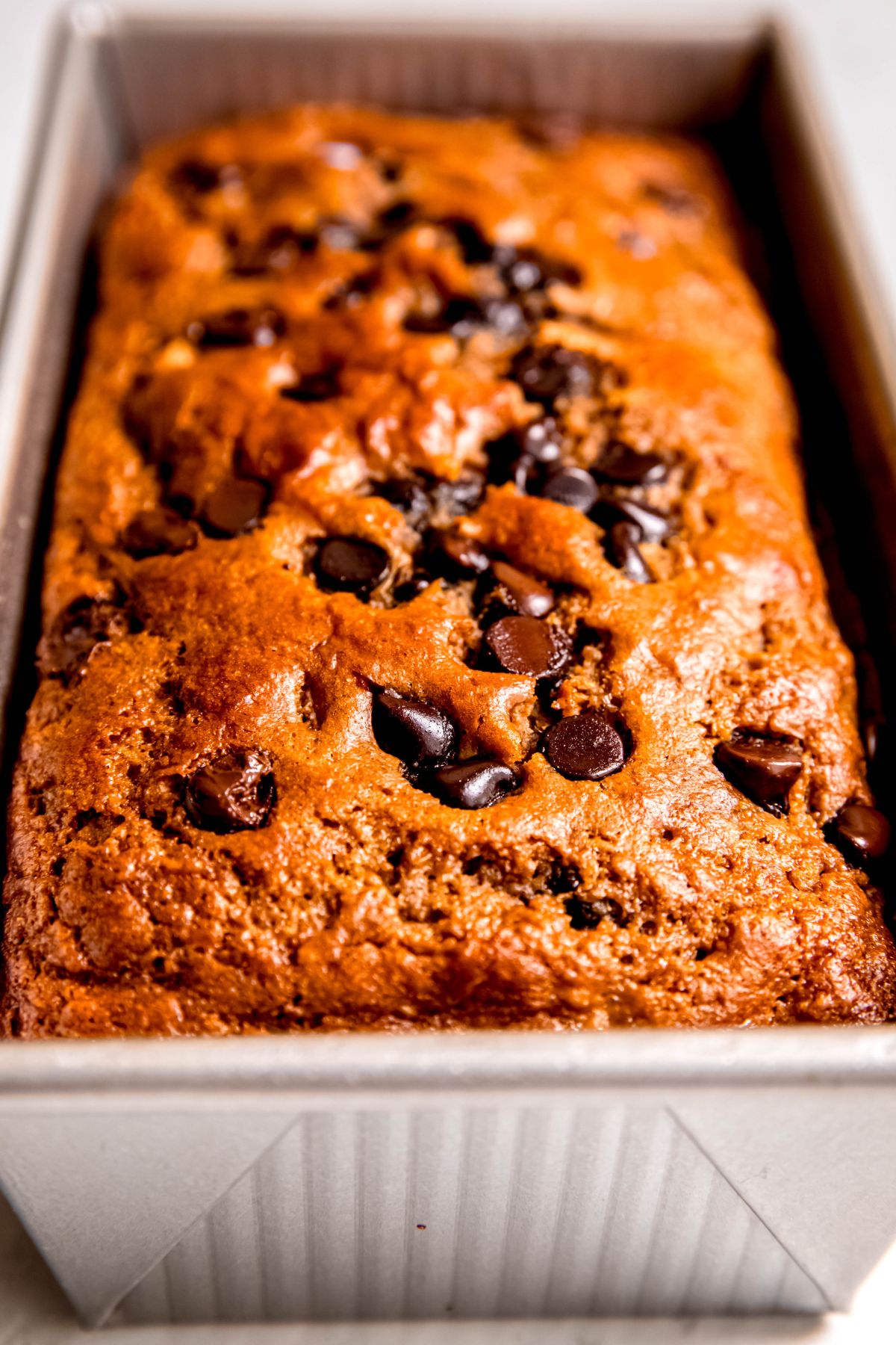 closeup shot of the golden brown top of a loaf of high protein banana bread in the loaf tin with shiny, melty chocolate chips on top.