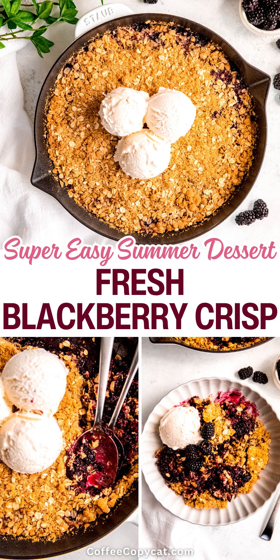 Fresh blackberry crisp.