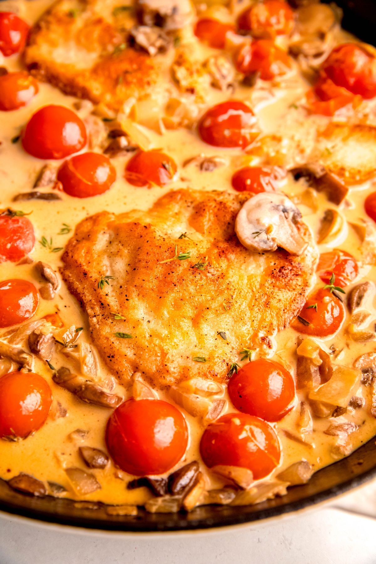 A close-up overhead shot of a pan of the creamy mushroom chicken with tomatoes.