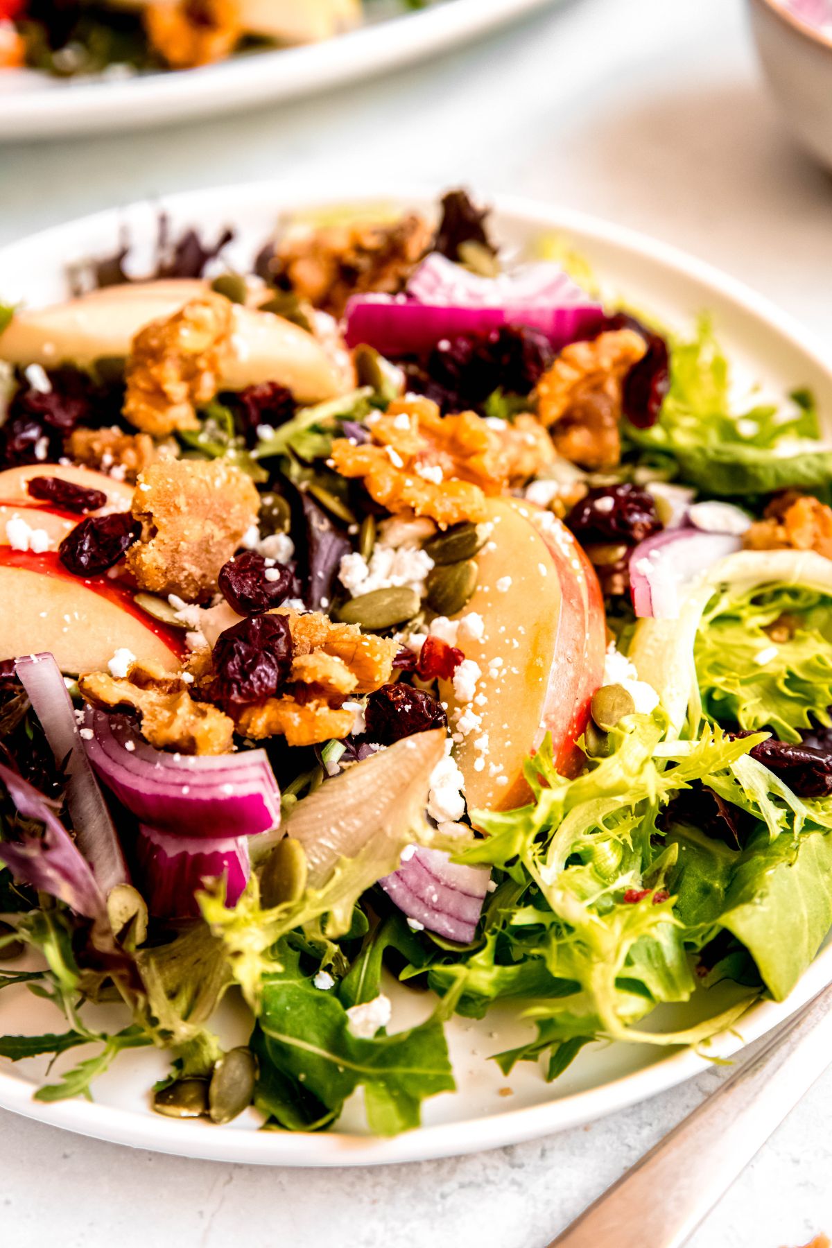 closeup shot of a serving of apple cranberry walnut salad on a white salad plate with a silver fork.