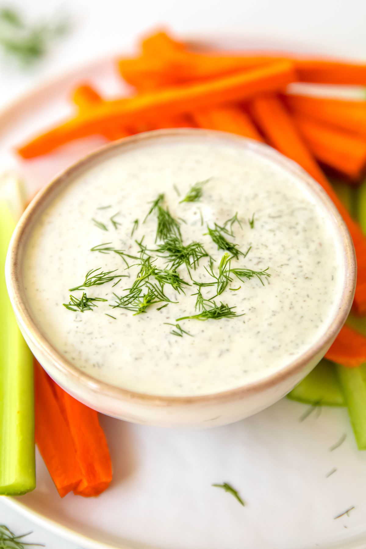 Herby Greek Yogurt Ranch Dressing - The Oregon Dietitian