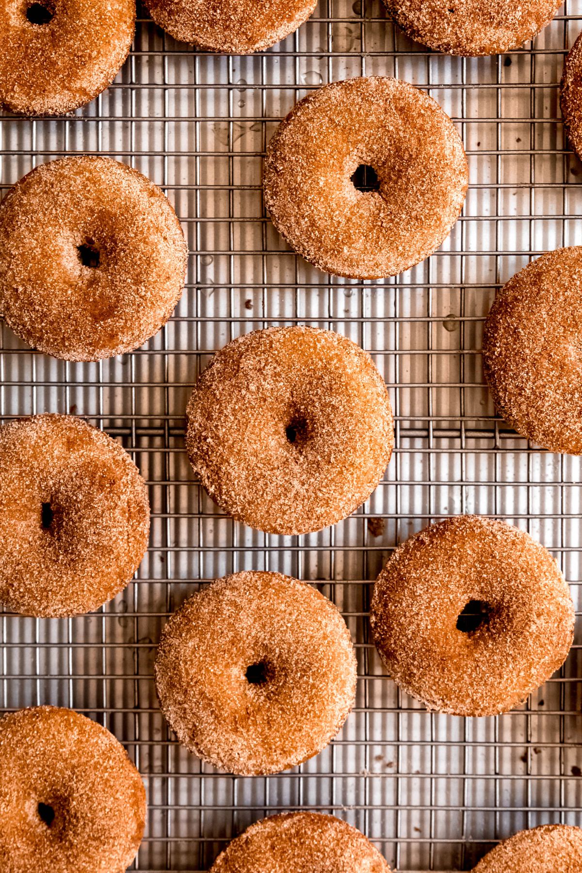 overhead shot of cinnamon sugar dipped apple cider donuts on a metal cooling rack.
