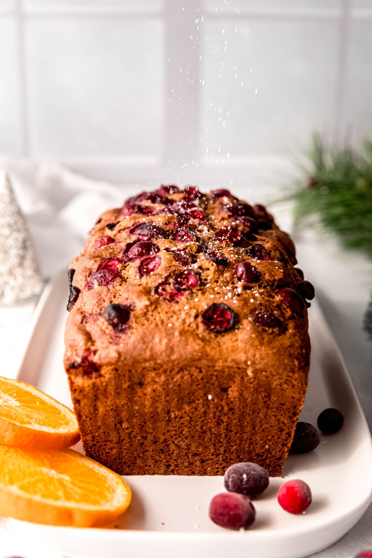 Freshly baked cranberry and orange bread on a rectangular white plate with just a bit of powdered sugar being sprinkled down; there's a fir sprig and white bottle brush tree blurred in the background and fresh cranberries and orange slices in the foregroun.