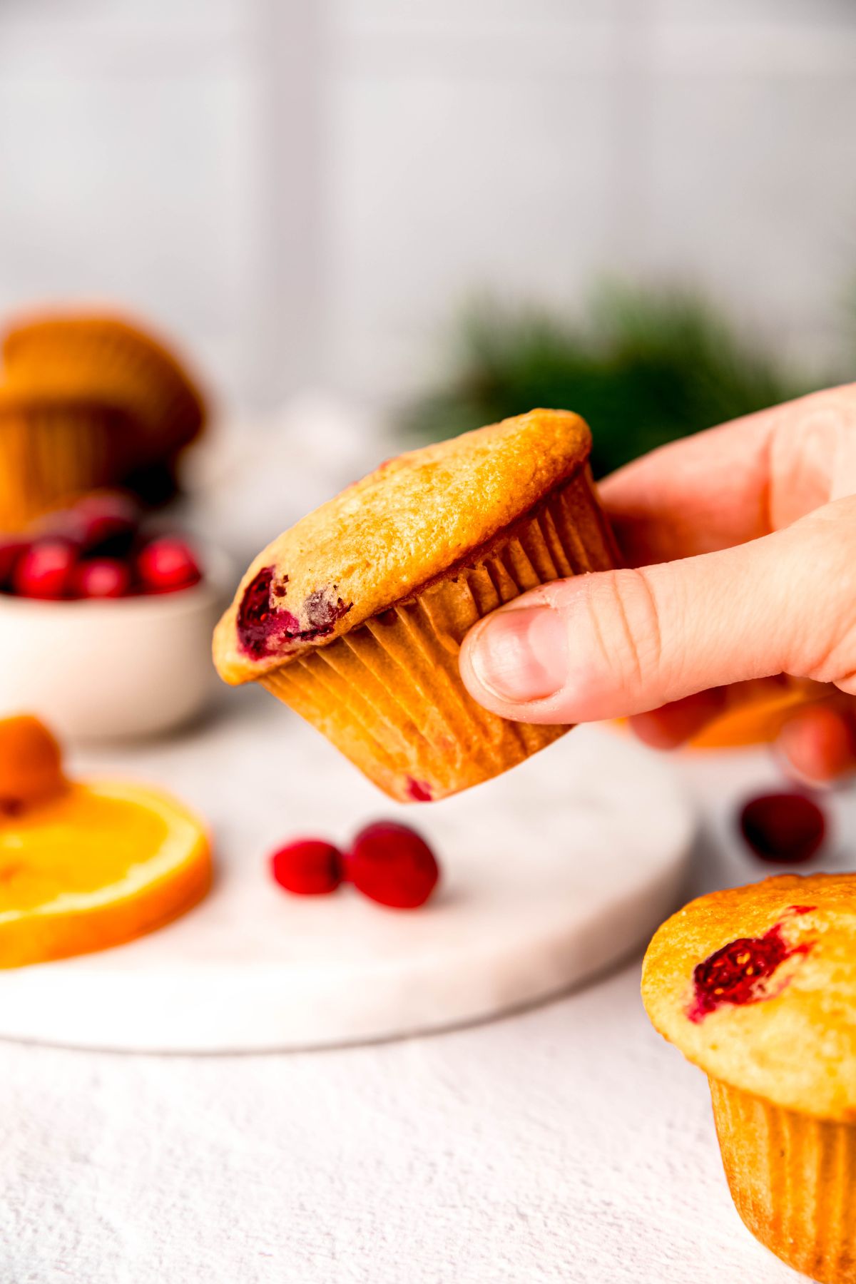hand grabbing a protein packed orange cranberry muffin from a white table with orange slices and fresh cranberries.