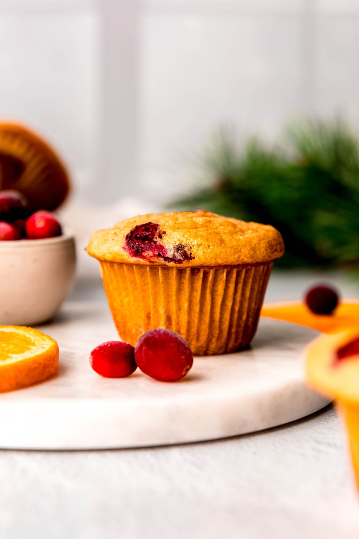 single protein muffin on a white table with fresh orange slices and fresh cranberries; there is a green pine branch blurred out in the background.