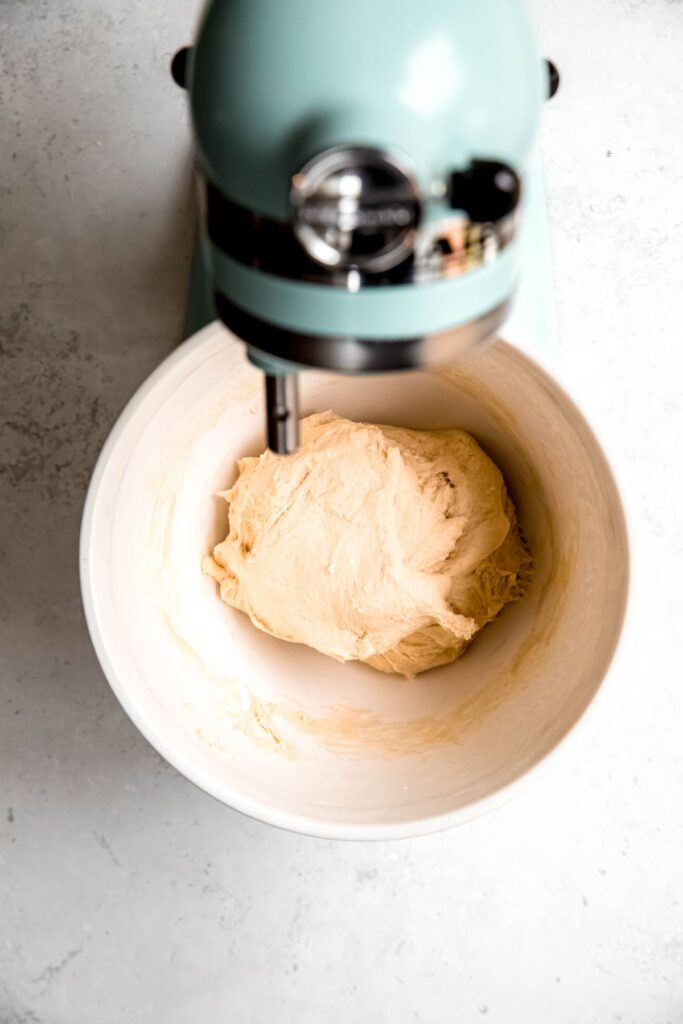 sourdough discard roll dough after kneading with the dough hook until elastic.