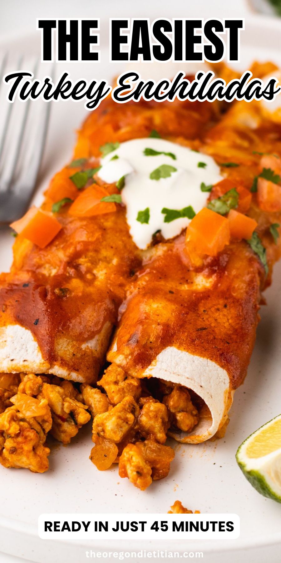 Turkey enchiladas.