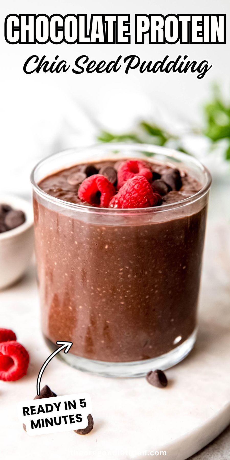 Chocolate protein chia seed pudding.