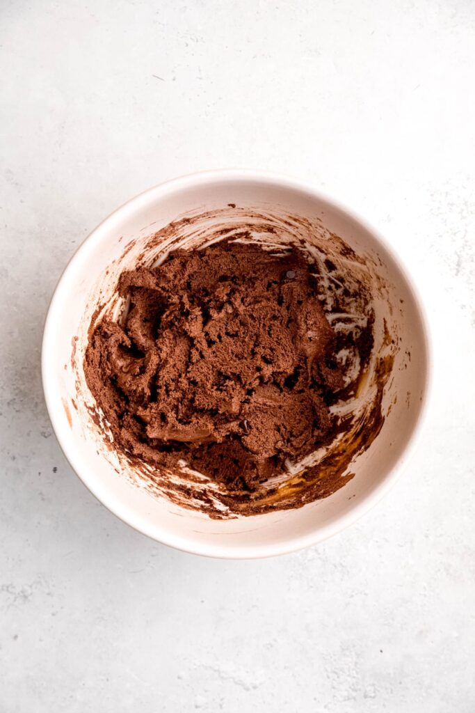 chocolate protein ball dough after mixing together.