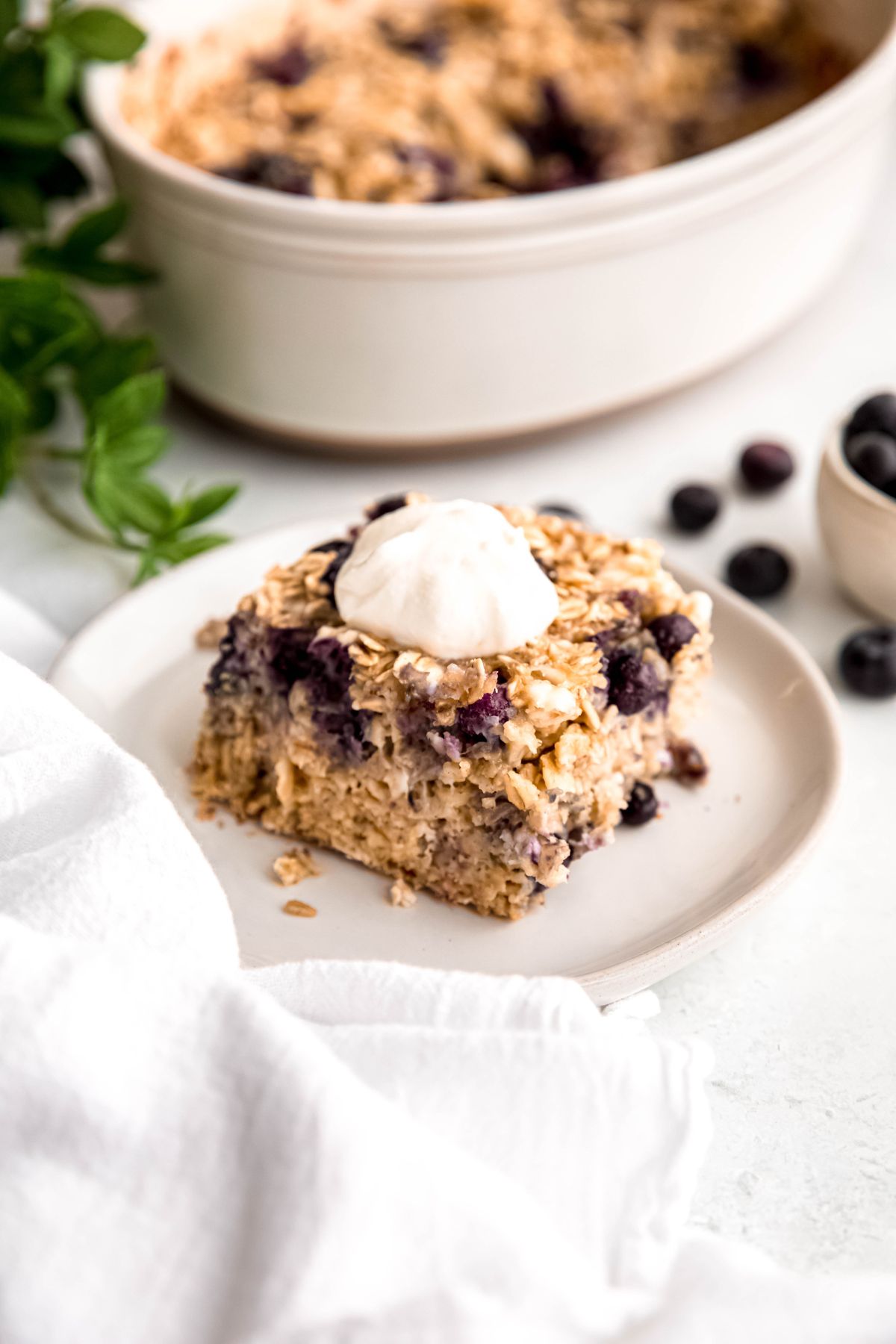 square of high protein blueberry baked oatmeal on a white plate with a dollop of yogurt on a white table with a bowl of fresh blueberries, a green houseplant, and the rest of the casserole dish in the background.