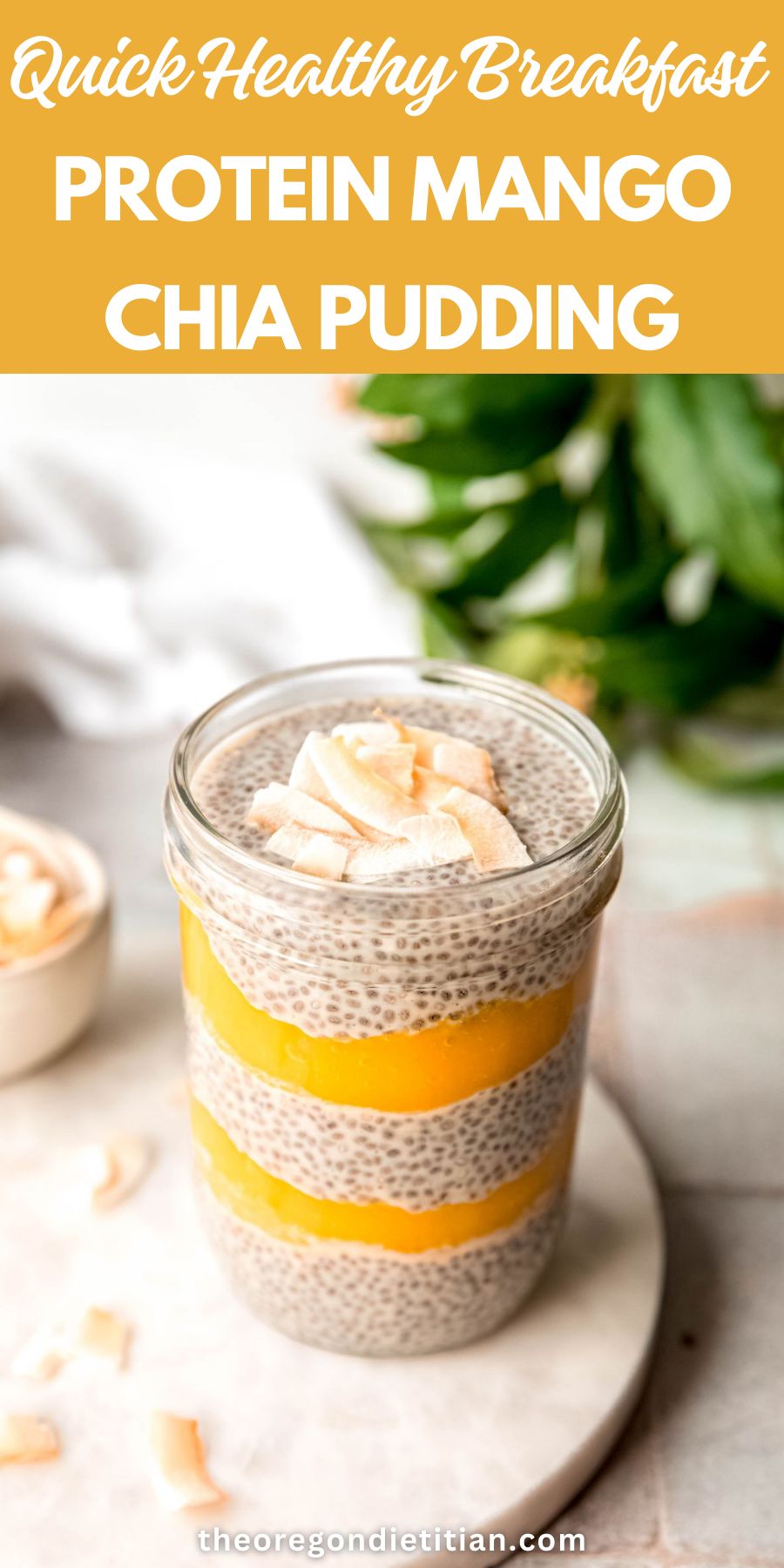 Protein mango chia pudding.