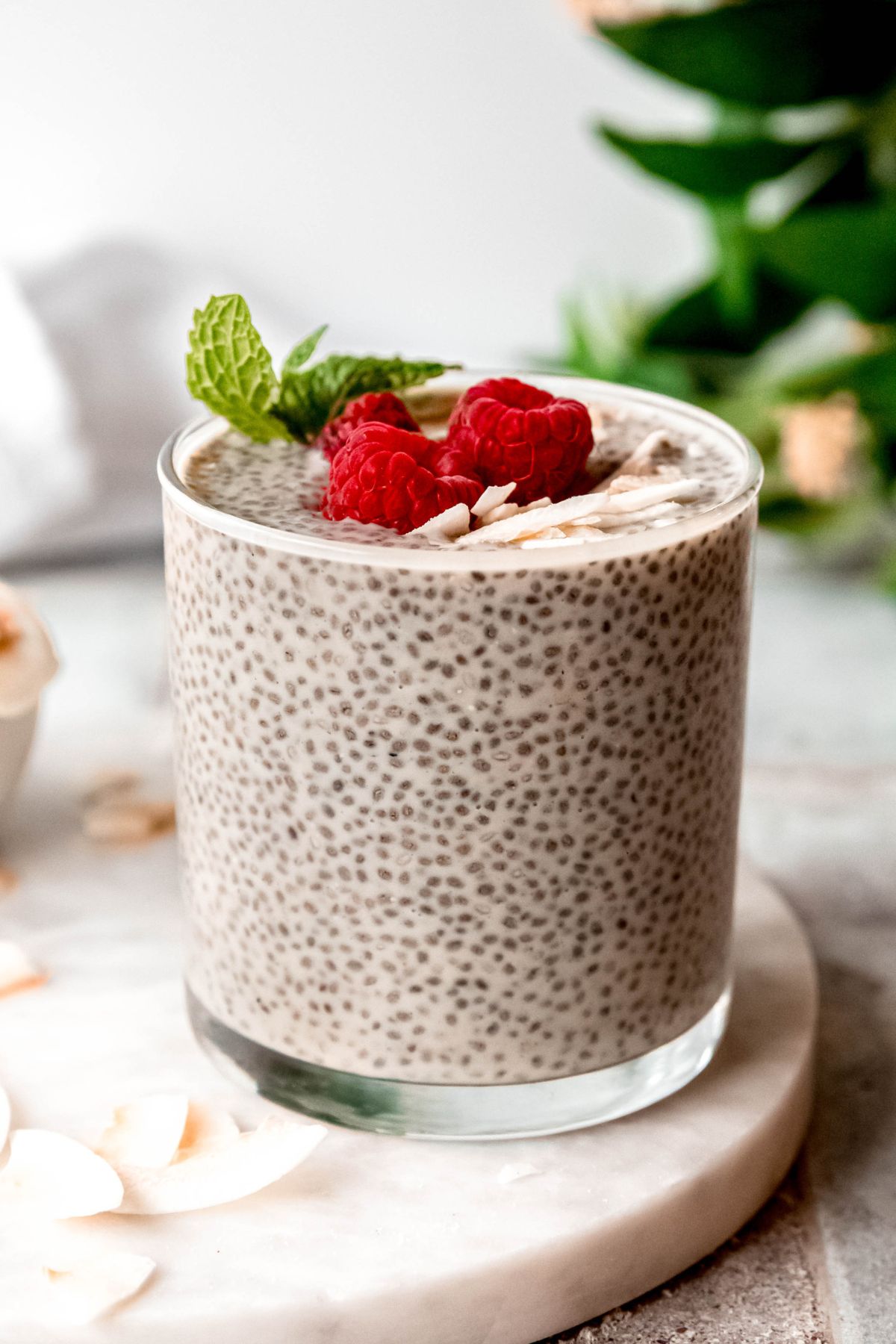 hero shot of a clear glass of coconut chia seed pudding made with protein powder and topped with raspberries and coconut flakes; you can see the black puffed up chia seeds suspended in a creamy white pudding.