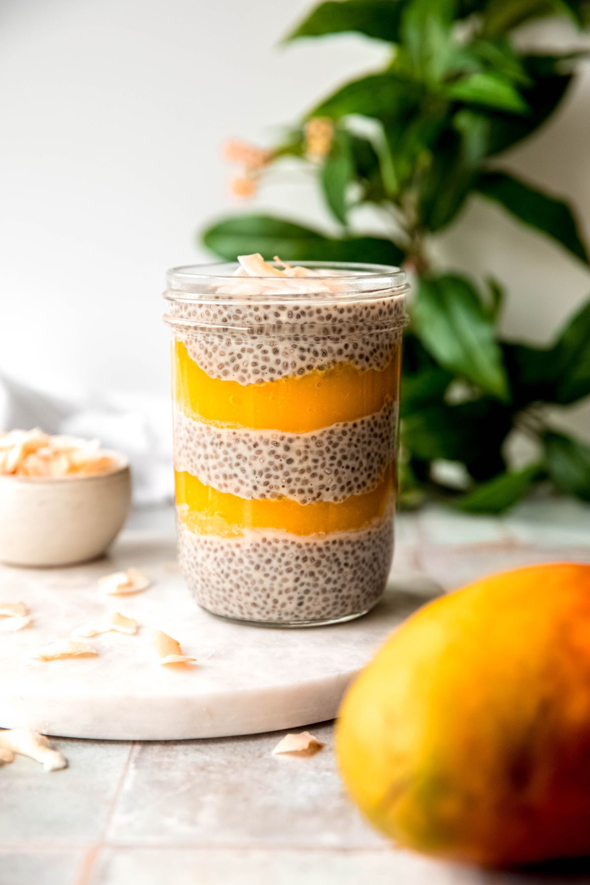 high protein mango chia seed pudding after assembly; there are 3 layers of coconut chia pudding and 2 layers of vibrant yellow mango puree, plus a layer of toasted coconut flakes on top.