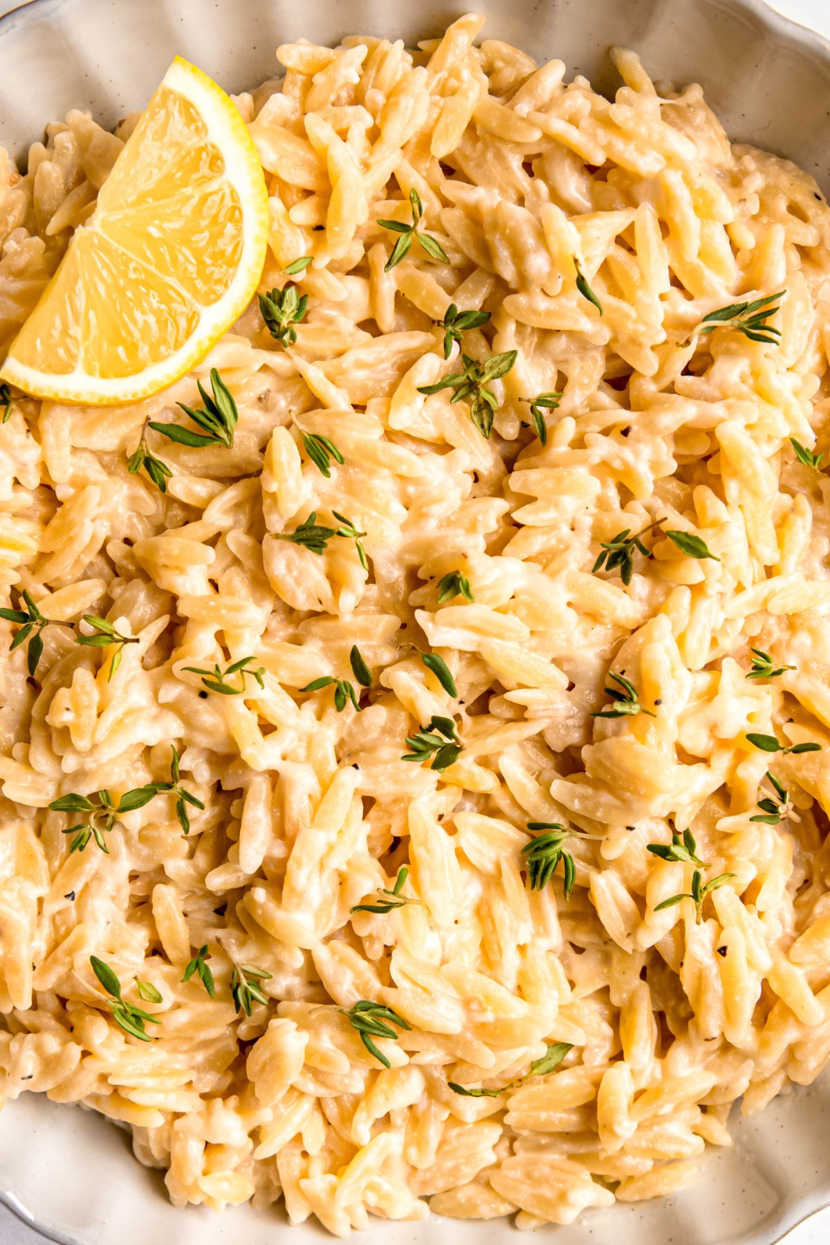 closeup shot of lemony orzo pasta topped with fresh thyme leaves and a slice of lemon.