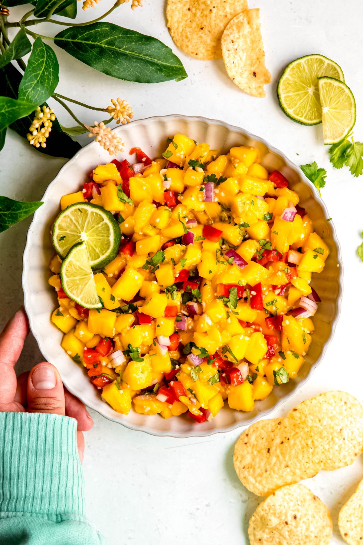 hand in a teal sweatshirt up to the knuckles setting down a white scalloped serving bowl filled with fresh mango salsa on a white table with round tortilla chips and fresh cilantro leaves.