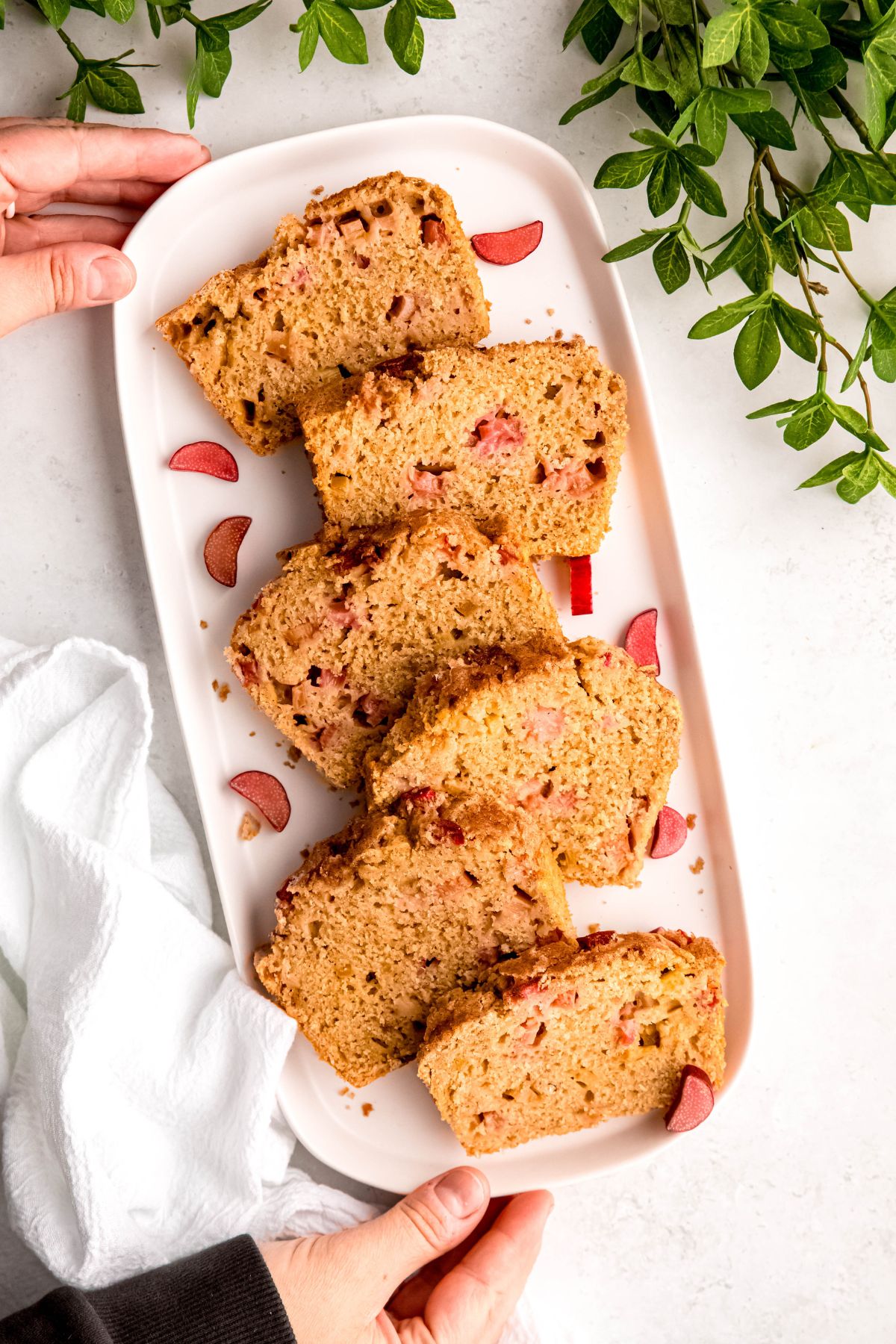 hands in a black sweater setting a serving platter of sliced rhubarb bread down on a white table with a green houseplant and a white linen.