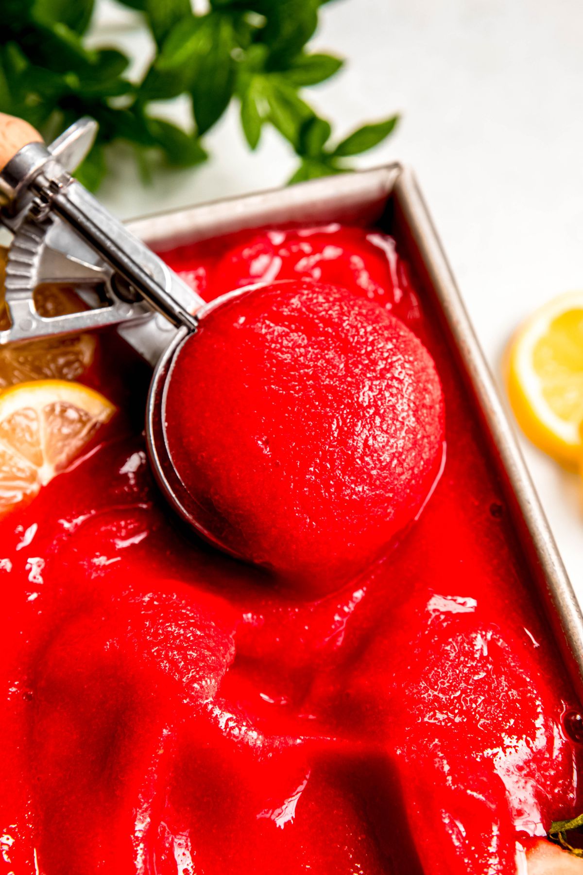 closeup of a spring-loaded ice cream scoop scooping up a serving of blended strawberry sorbetto.