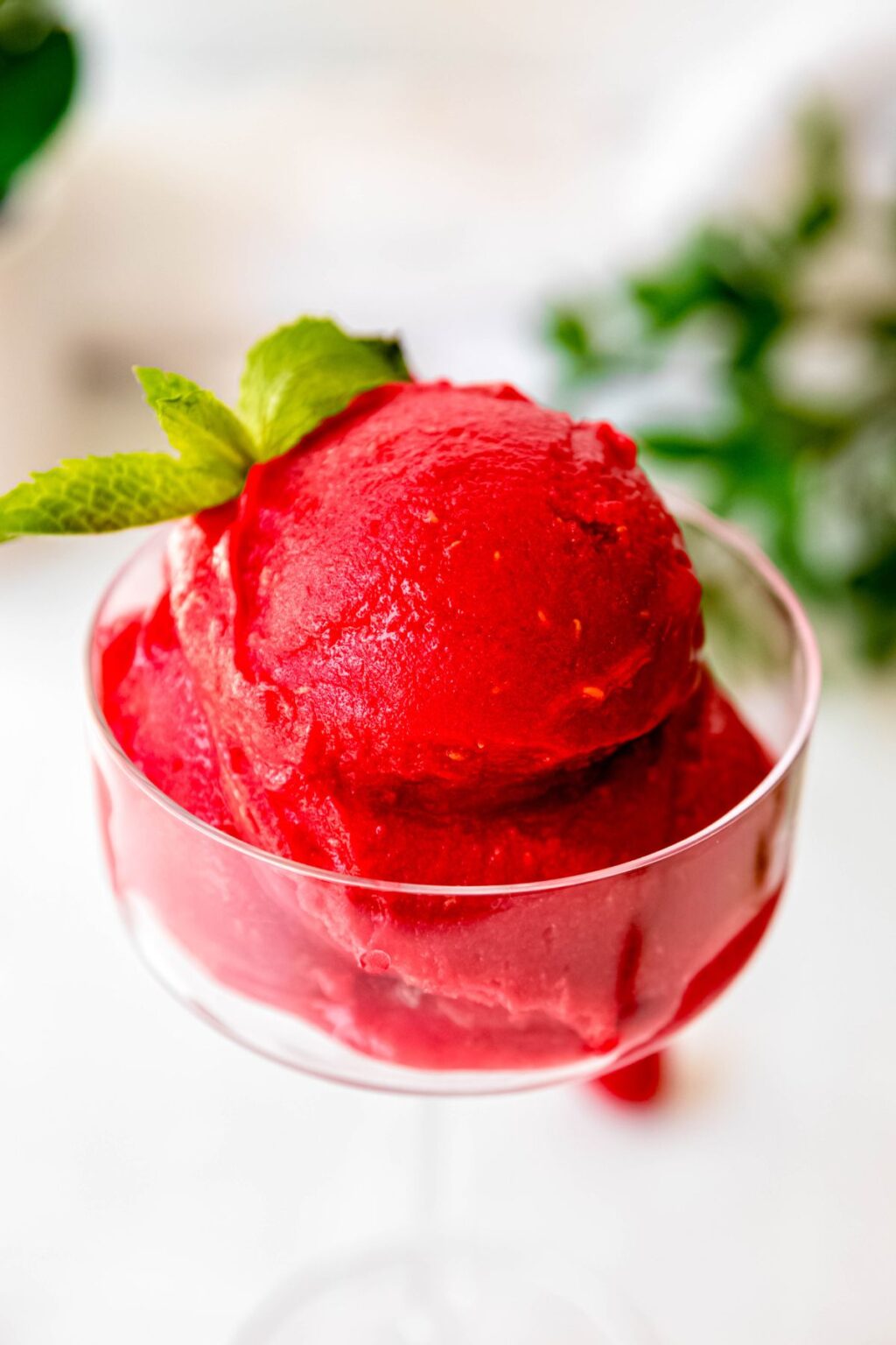 Sourbelt Raspberry 5-Minute Raspberry Sorbet (No Churn) - The Oregon Dietitian